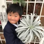 FLOWER MARKET 花ごこち 🌻